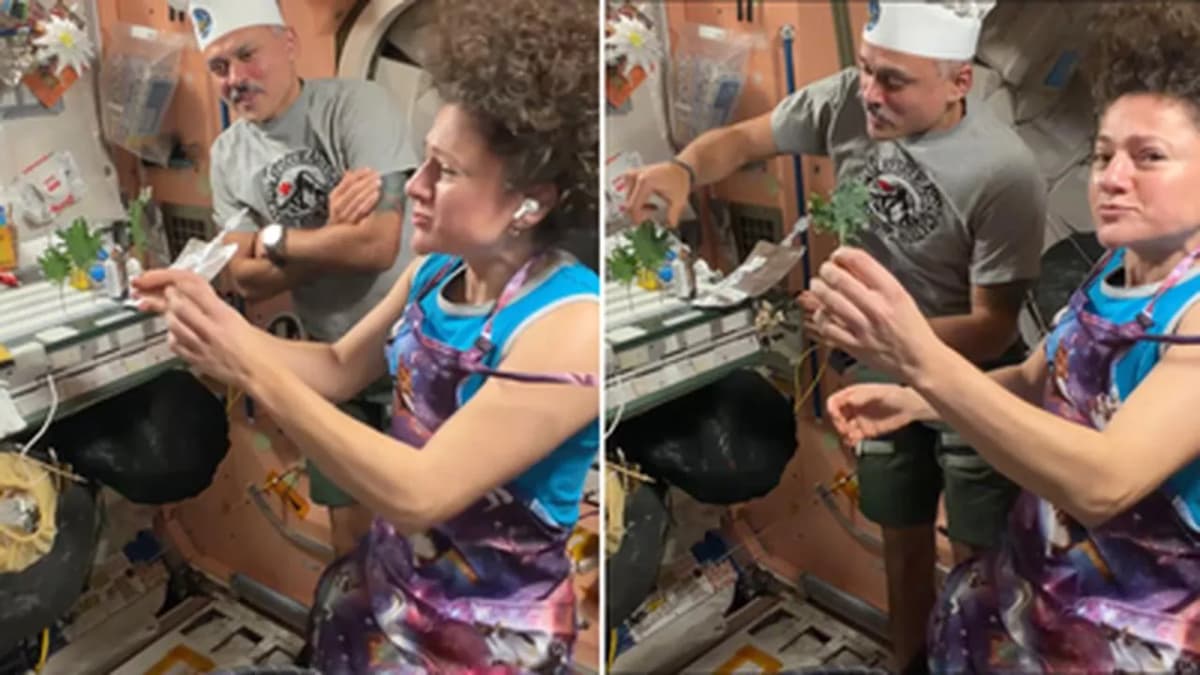 Anil Menon Grows Green Vegetables in Space