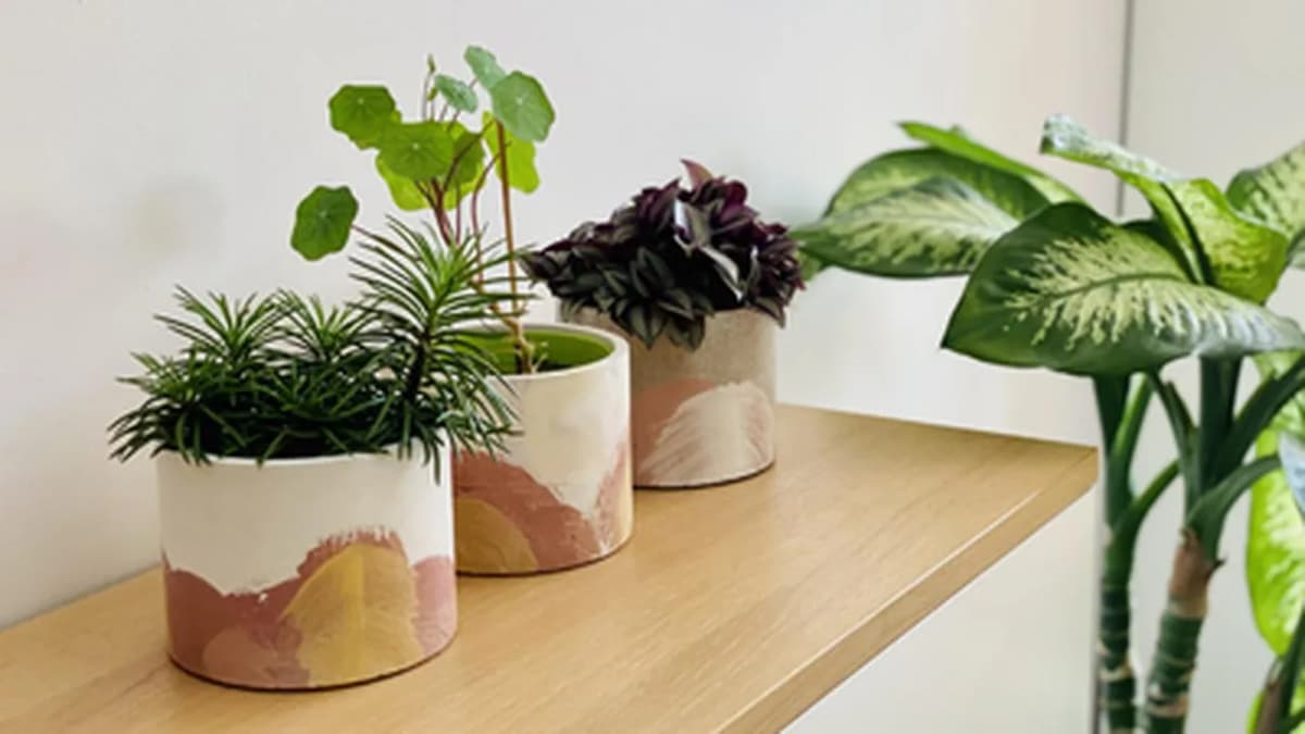 5 DIY Hacks to Enhance Indoor Plant Decor