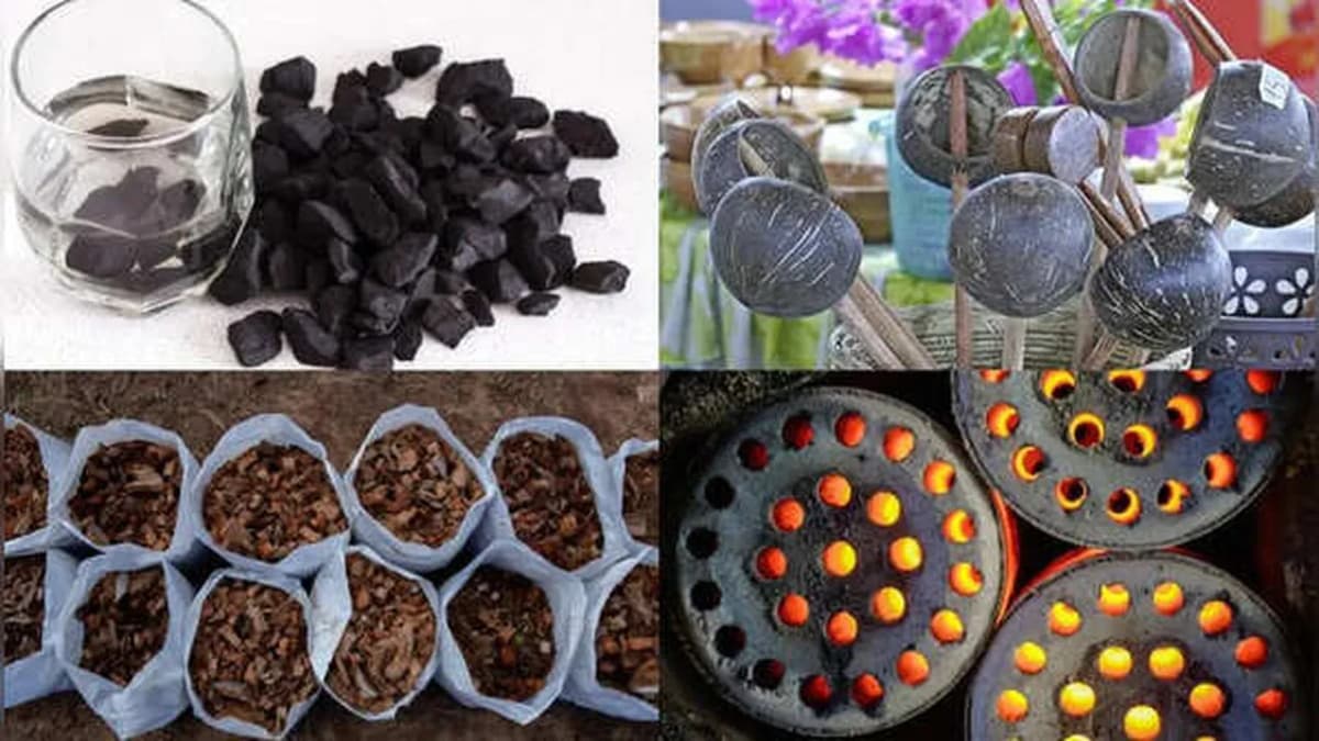 Uses of Coconut Shells and Their Role in the Environment