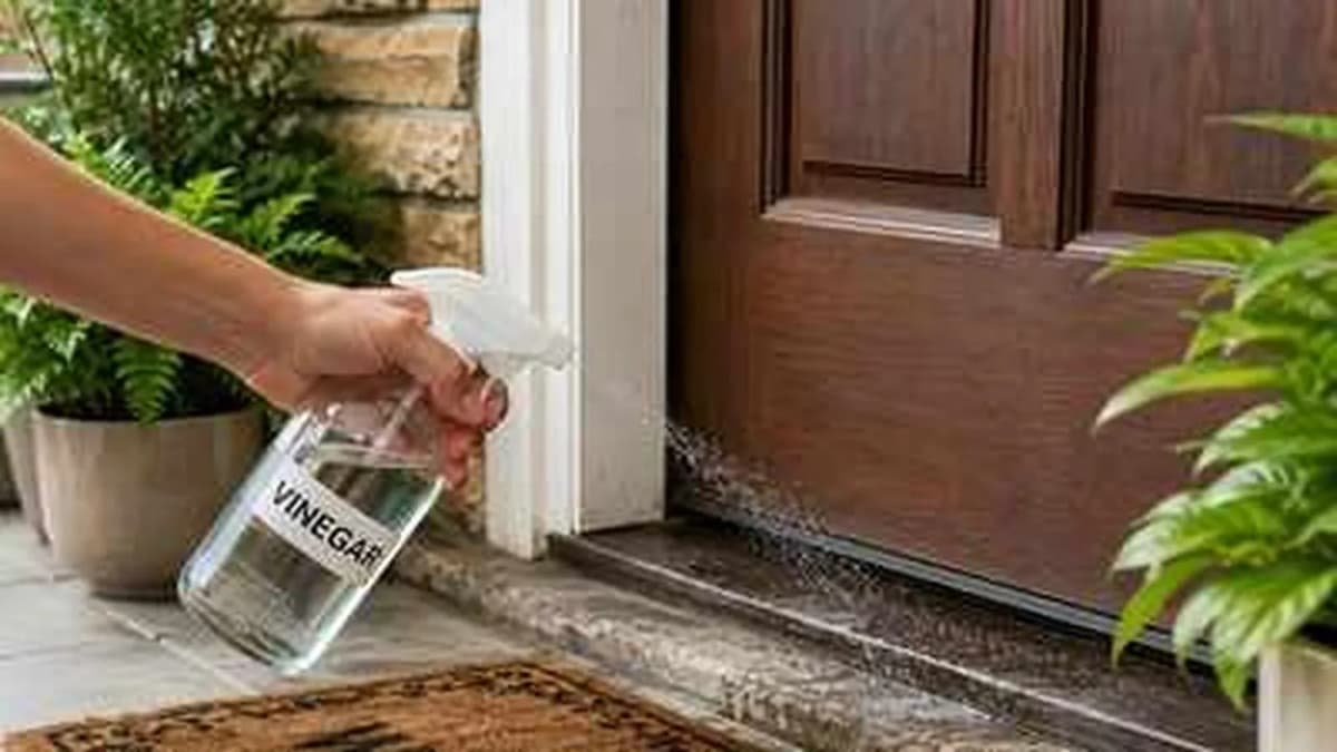 Using Vinegar at Home Entrances: For Cleanliness and Pest Control
