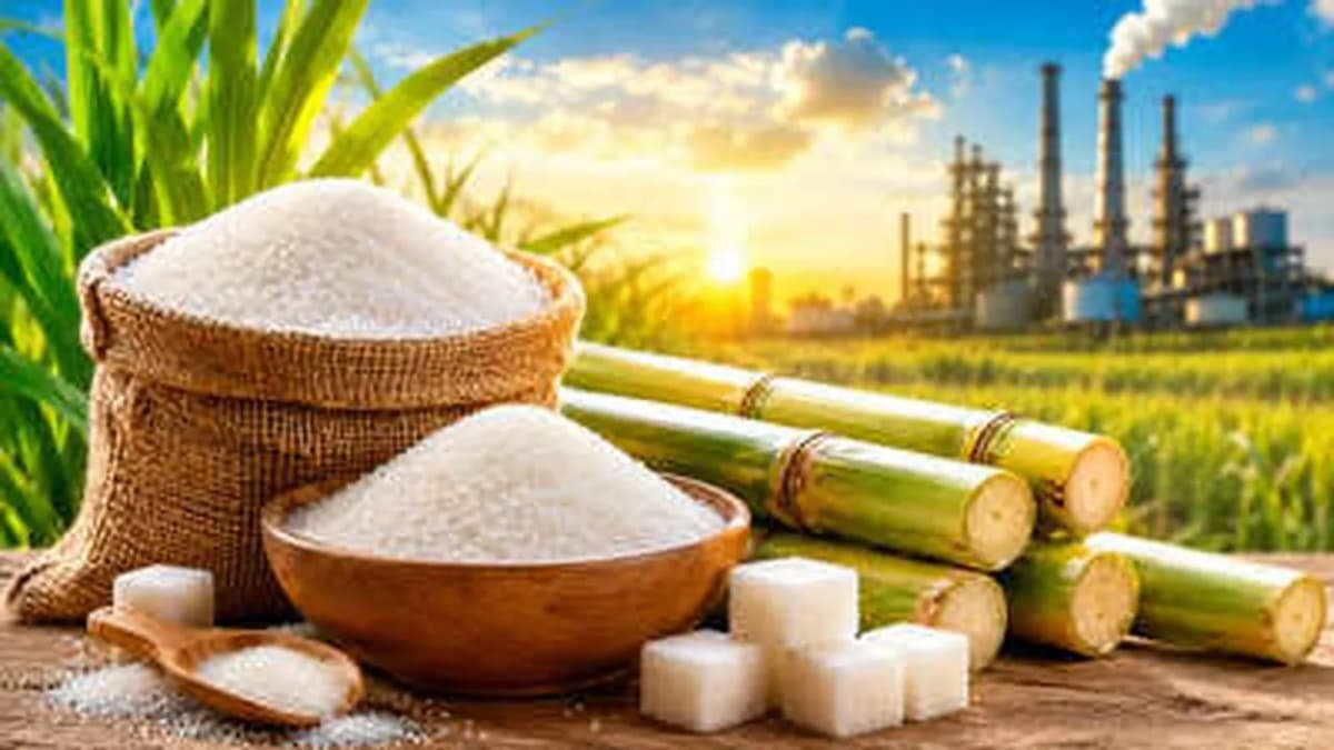 Significant Decline in Sugar Prices, Ex-Mill Rates at Rs 55 per Kg