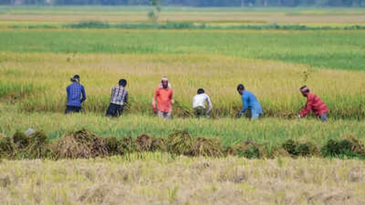 India's Monsoon Rainfall Deficit Reaches 14%, Farmers Concerned