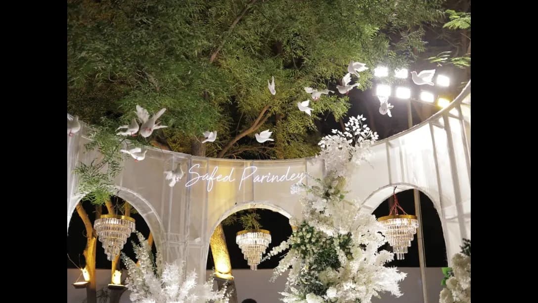 Ahmedabad’s Safed Parinde Garba Faces Fresh Controversy Over ₹15,000 VIP Passes and Poor Facilities