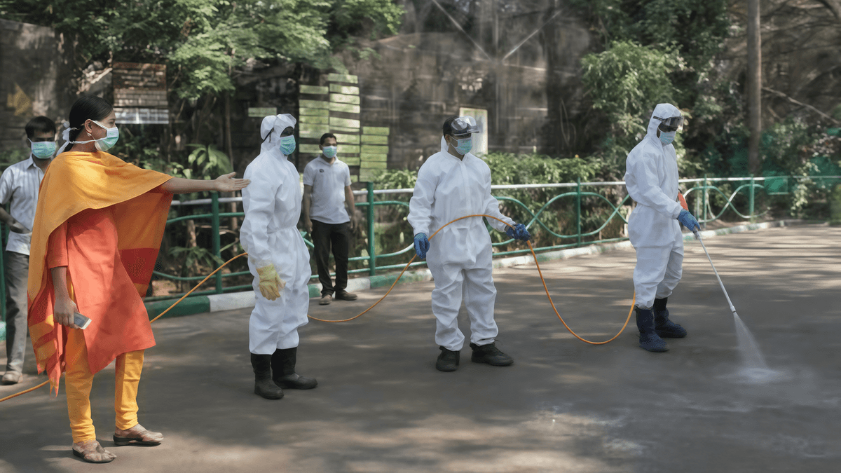 H5N1 Bird Flu Confirmed In Peacock Deaths In Karnataka’s Tumakuru District