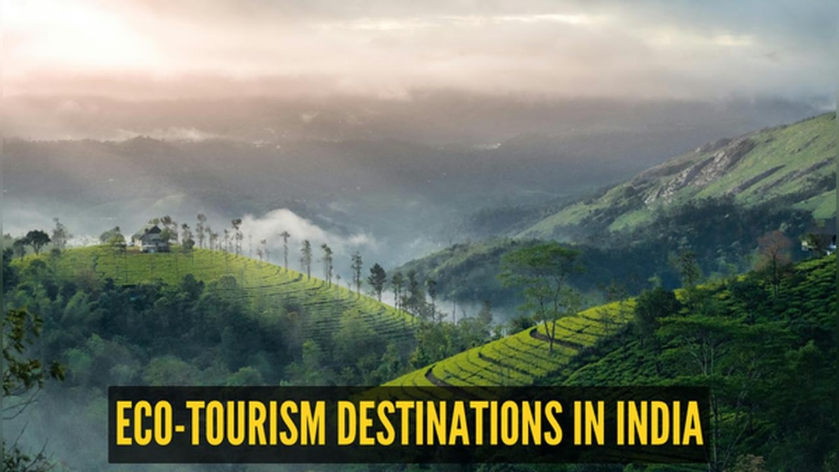 World Environment Day 2026: Five Eco-Tourism Destinations in India Welcoming Nature-Saving Travelers