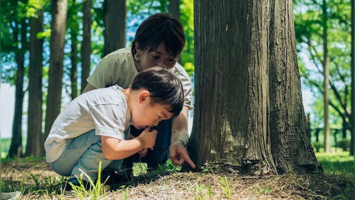 Children's Curiosity and Parental Influence