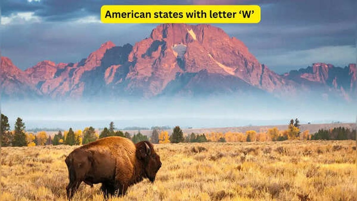 Features of the Four 'W' States in the United States
