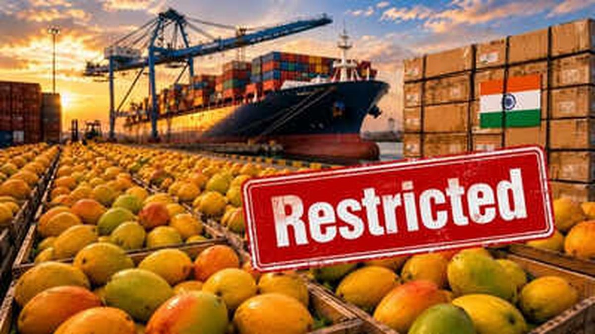 Nepal and Japan's Strict Policies on Indian Mangoes