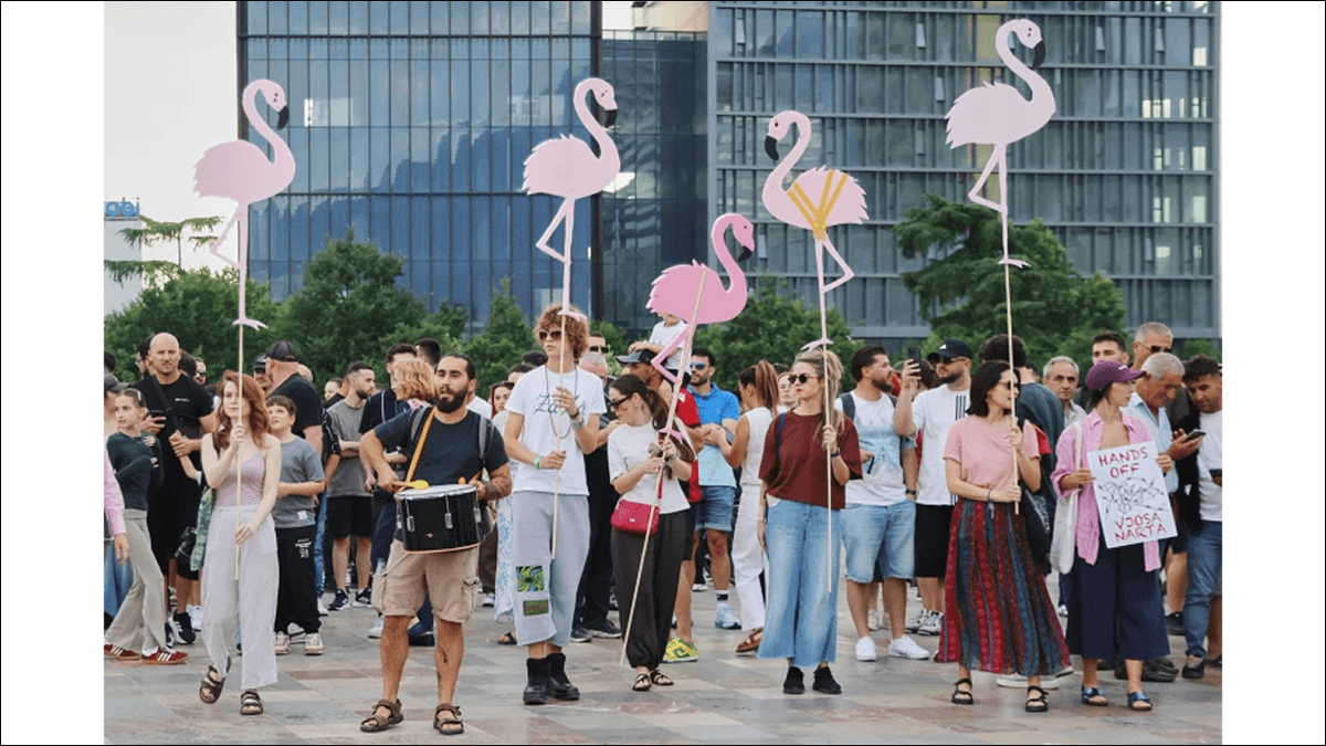 What Is the ‘Flamingo Revolution’ and How Is It Linked to Trump’s Son-in-Law Jared Kushner?