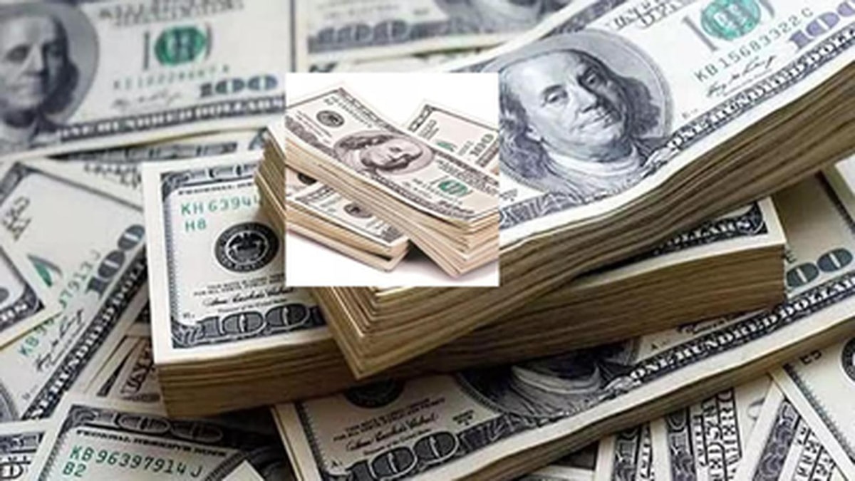 India's Foreign Exchange Reserves See Significant Decline