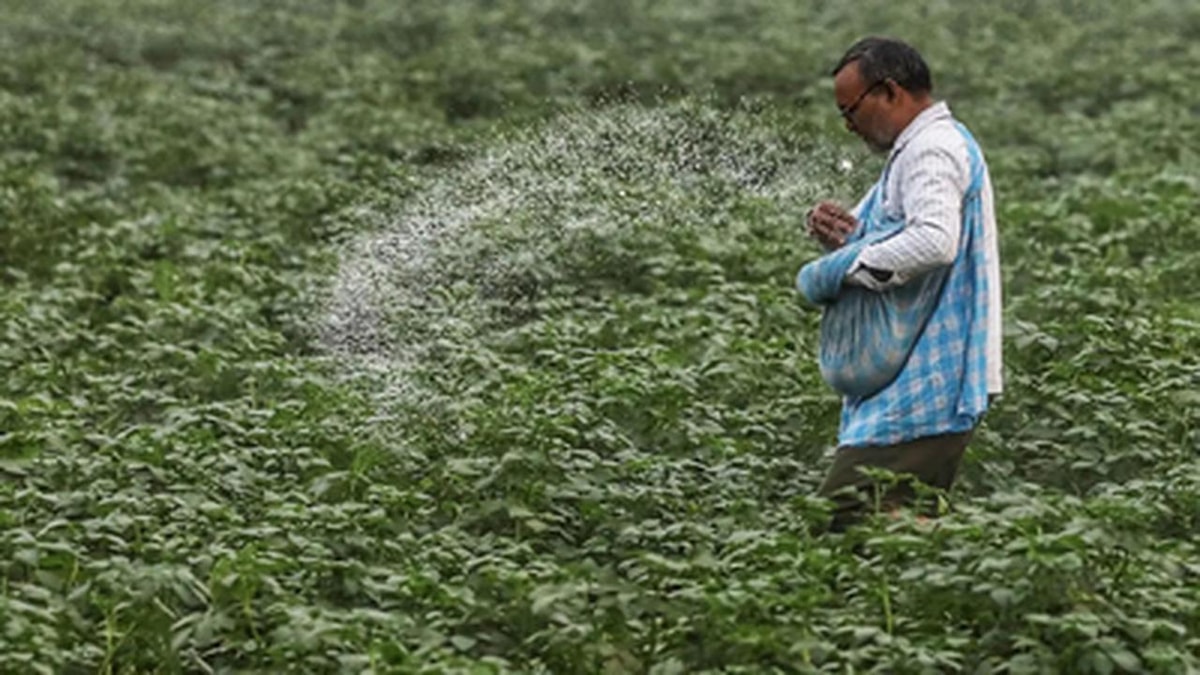 Indian Government Launches Green Ammonia Procurement Plan