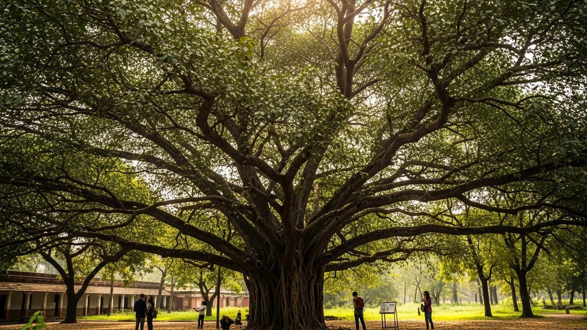 World's Oldest Scientifically Dated Banyan Tree is in Bihar