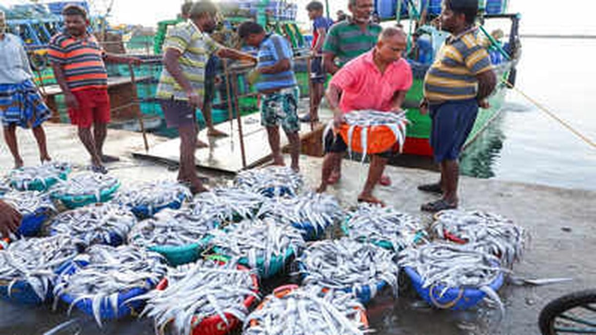 Indian Government to Establish Marine Export Zones (MEZs)