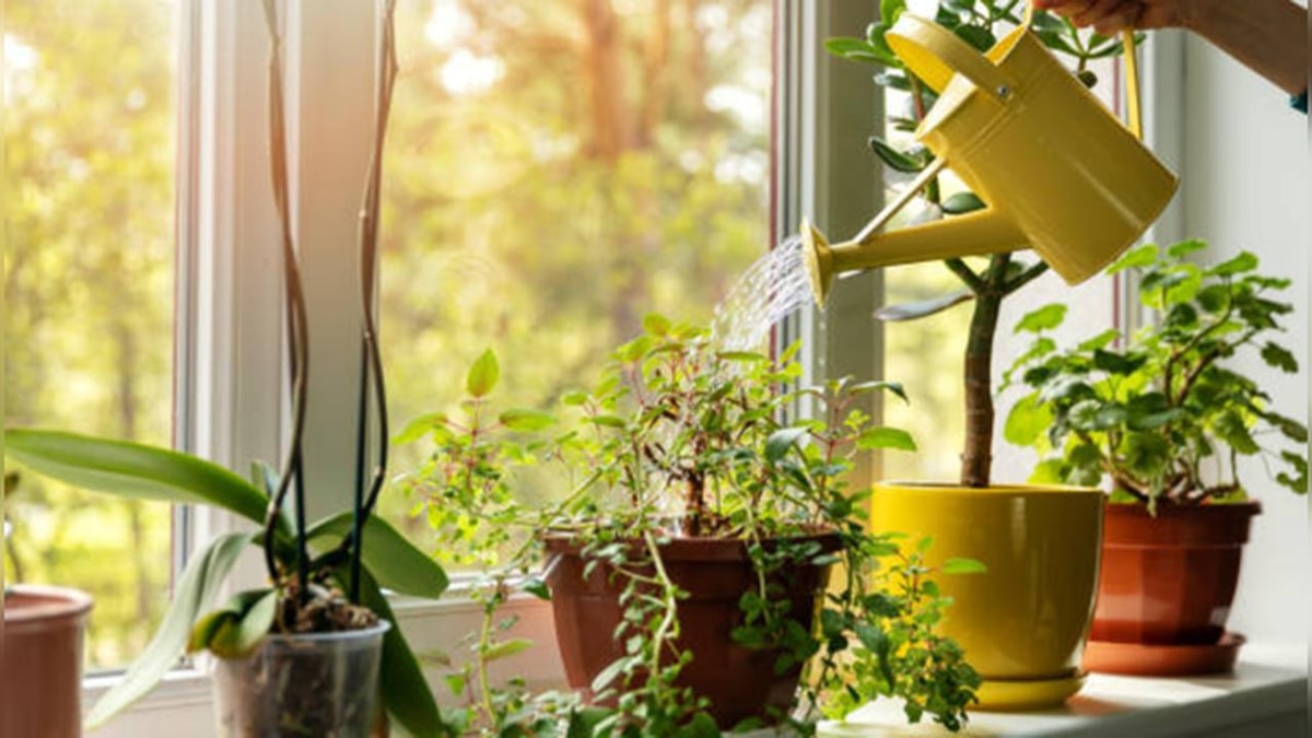 Benefits of Gardening for Brain Health