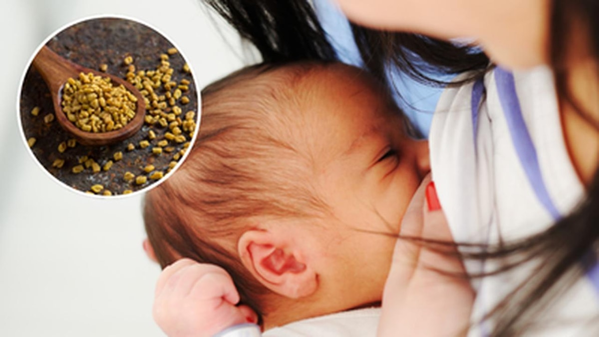 What role does fenugreek play in milk production? What does science say?