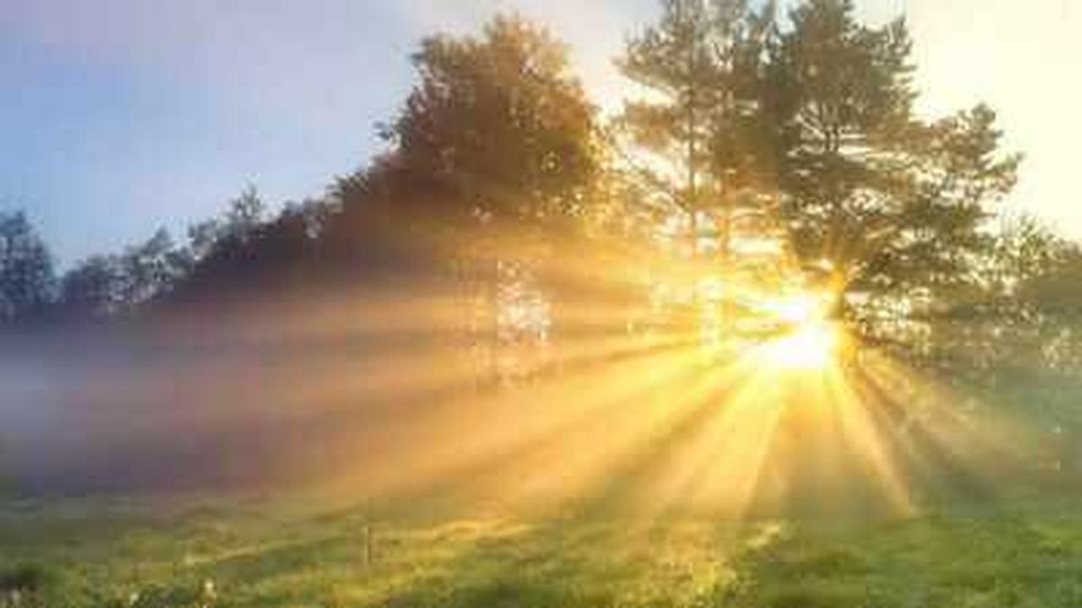 Morning Sunlight and Its Health Benefits