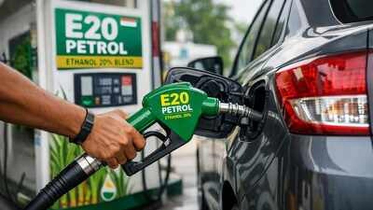 Discussion on E20 Petrol: V Anantha Nageswaran's Opinion