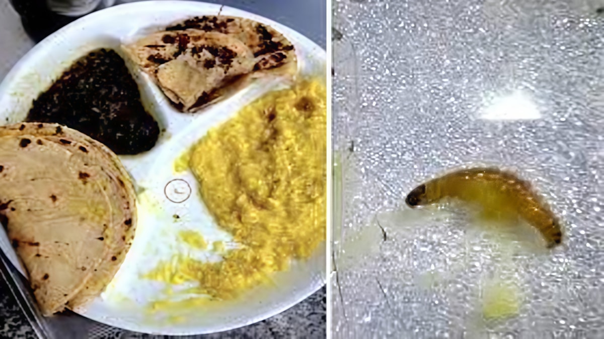 Serious Health Violation Reported at Ahmedabad's ESIC Hospital Serious Health Violation Reported at Ahmedabad's ESIC Hospital