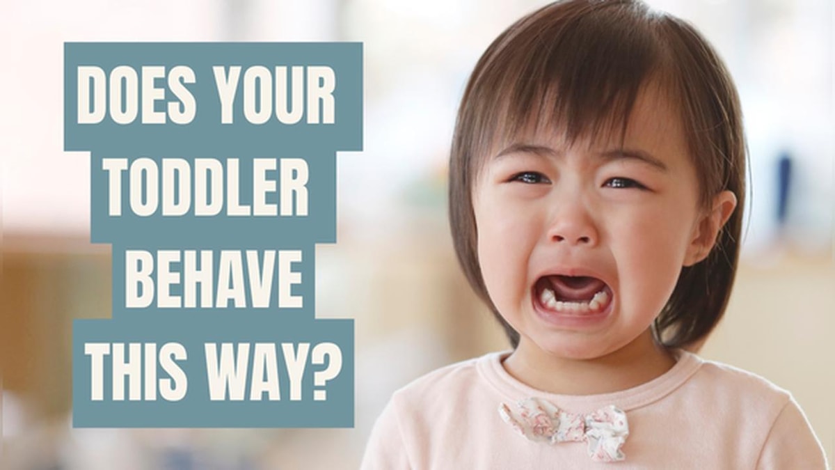 Guidance for Parents to Understand Toddler Behavior Guidance for Parents to Understand Toddler Behavior