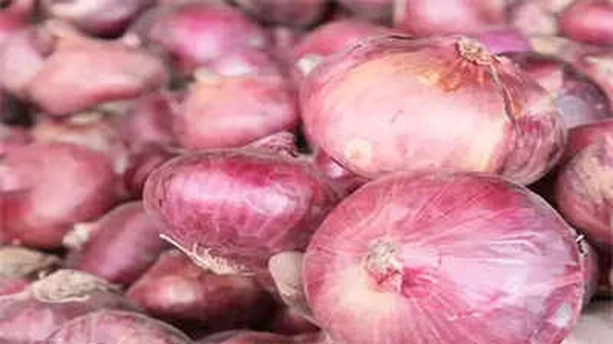 Maharashtra Farmers Demand Increase in Onion Prices Maharashtra Farmers Demand Increase in Onion Prices