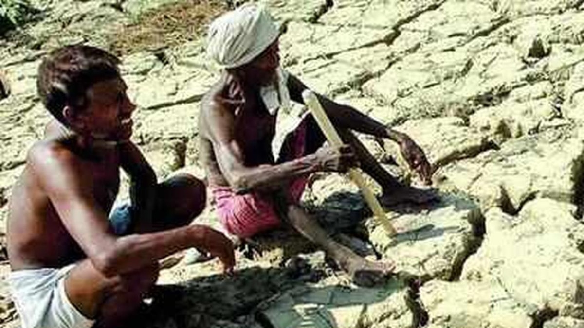 Centre on Alert as Rainfall Drops 43%, Contingency Agriculture Plan Prepared for 315 Districts Centre on Alert as Rainfall Drops 43%, Contingency Agriculture Plan Prepared for 315 Districts