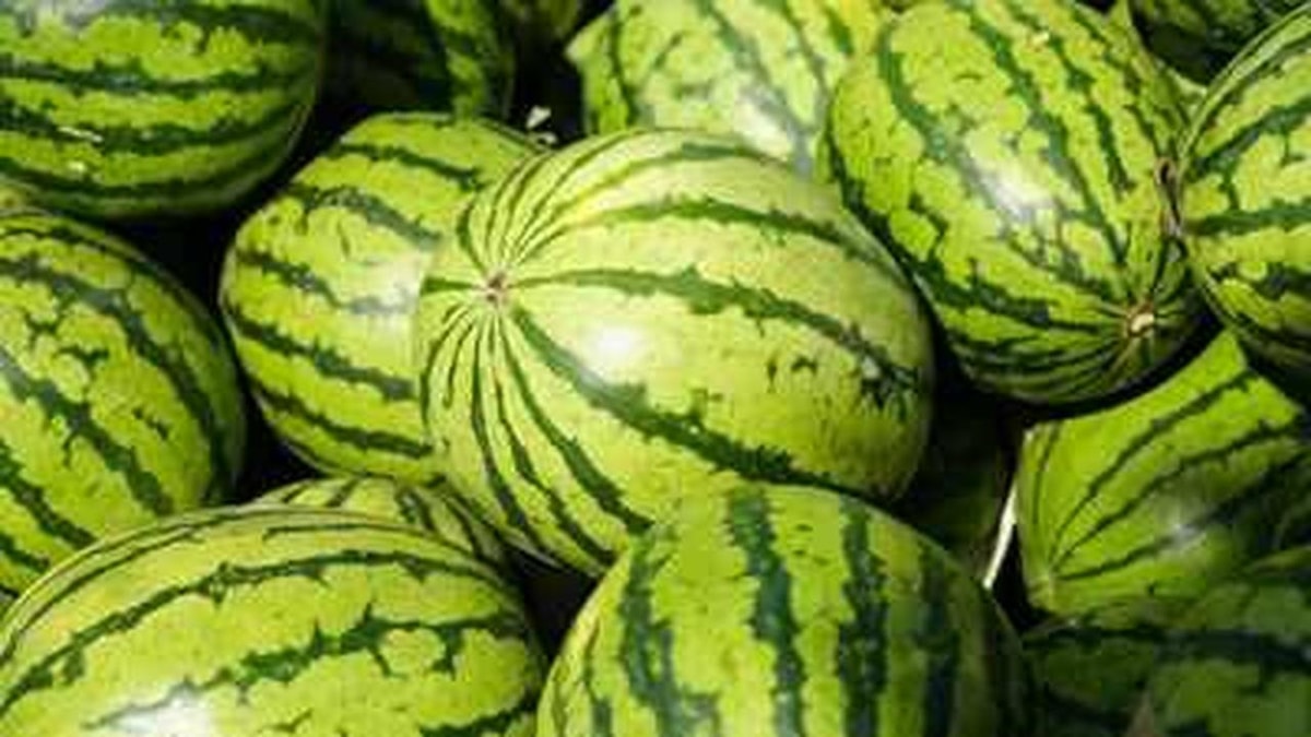 Guide to Buying Sweet Watermelons Guide to Buying Sweet Watermelons