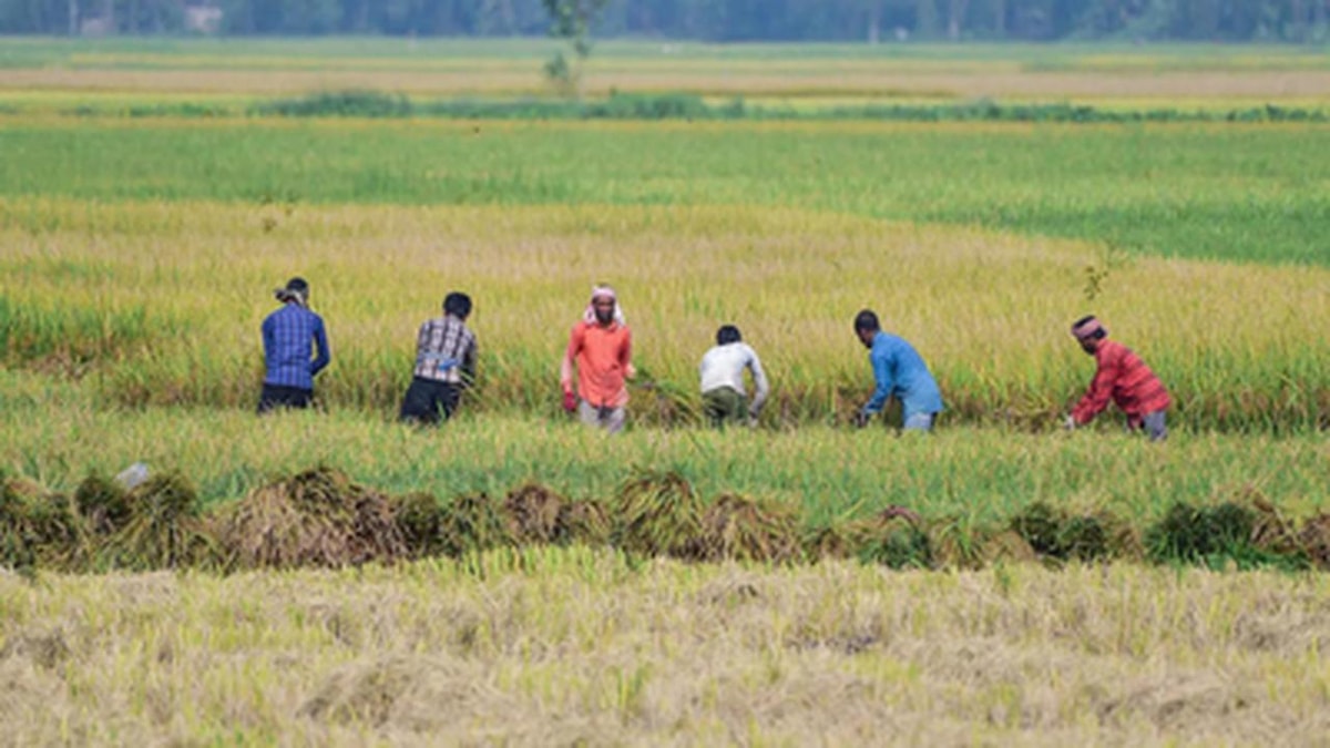 Threat of Weak Monsoon to India's Rural Economy Threat of Weak Monsoon to India's Rural Economy