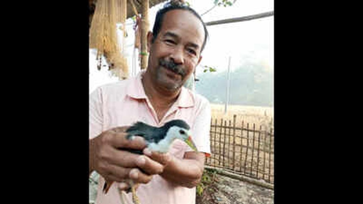 Assam's 'Hornbill Man' Bharat Borah Has Given New Life to Injured Wildlife for 30 Years Assam's 'Hornbill Man' Bharat Borah Has Given New Life to Injured Wildlife for 30 Years