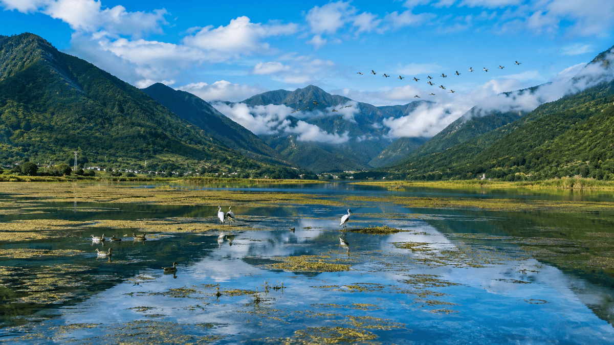 Glaw Lake Becomes India's 101st Ramsar Site and Arunachal's First Wetland Glaw Lake Becomes India's 101st Ramsar Site and Arunachal's First Wetland