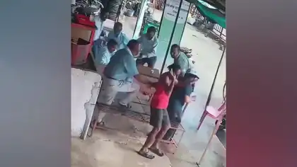 Wild Boar Creates Panic in Maharashtra's Bhandara, Suddenly Attacks People at Tea Stall