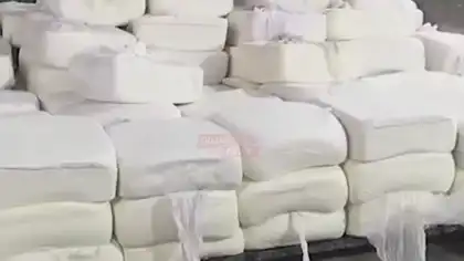 Gujarat Imposes Strict Ban on Fake Paneer and Cheese to Strengthen Food Safety