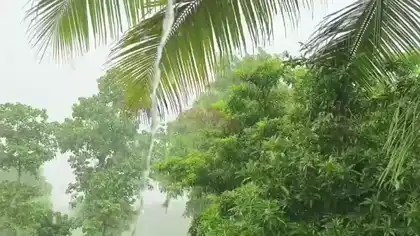 Rain Returns to Mahisagar After Long Break Farmers Cheer as Monsoon Crops Get a Fresh Lease of Life Rain Returns to Mahisagar After Long Break Farmers Cheer as Monsoon Crops Get a Fresh Lease of Life