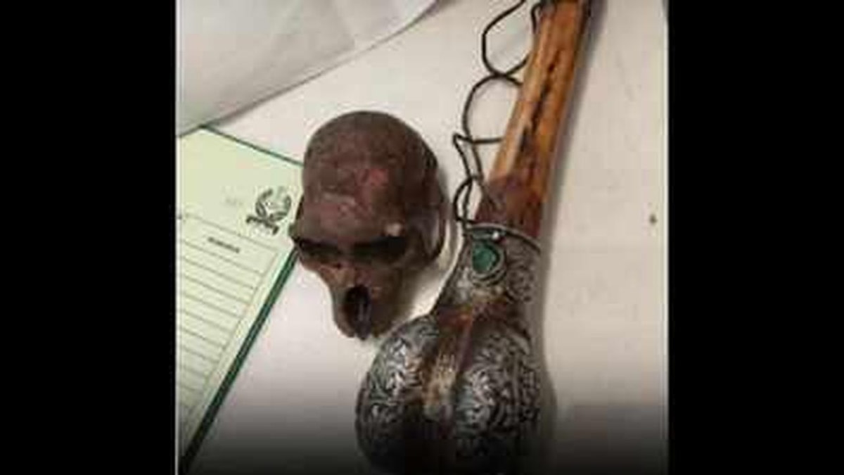 Monkey Skull Found in Passenger's Bag at Delhi Airport Monkey Skull Found in Passenger's Bag at Delhi Airport