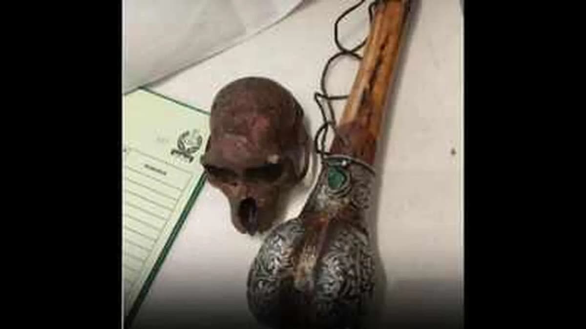 Monkey Skull Found in Passenger's Bag at Delhi Airport Monkey Skull Found in Passenger's Bag at Delhi Airport