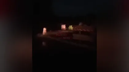 Two Lions Cross Rajula-Pipavav Highway Safely Amid Traffic