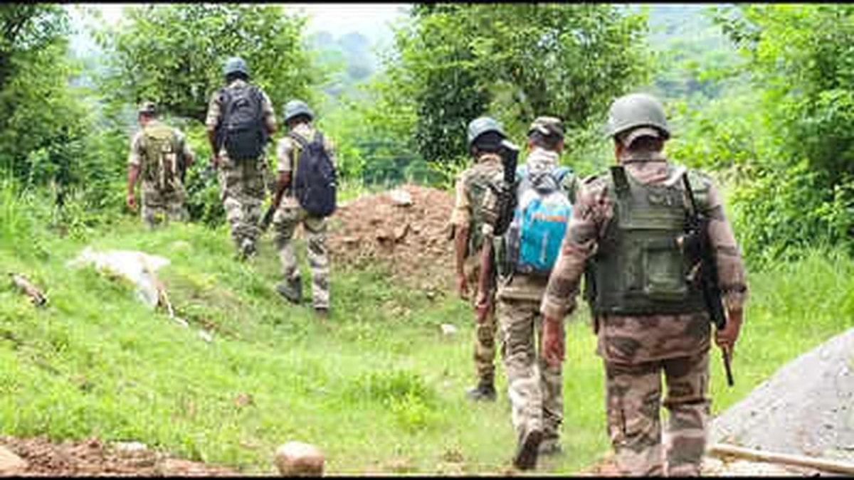 Search Operation Launched by Security Forces in Kathua Search Operation Launched by Security Forces in Kathua