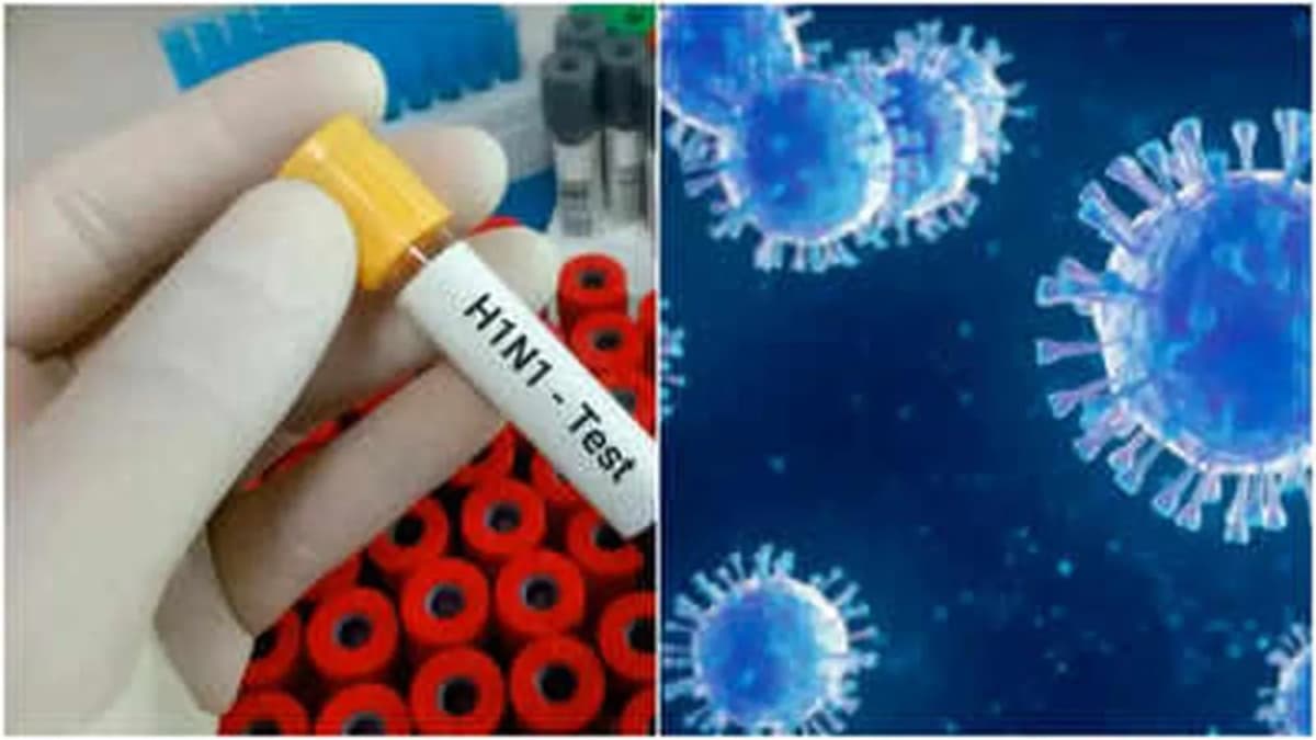 H1N1 Cases in New Delhi Exceed 1,700, Health Ministry Issues Advisory H1N1 Cases in New Delhi Exceed 1,700, Health Ministry Issues Advisory