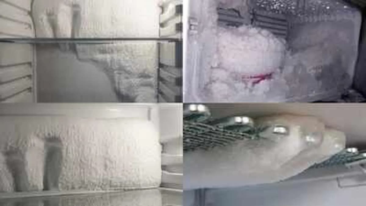 Guide to Preventing Condensation in Refrigerators Guide to Preventing Condensation in Refrigerators