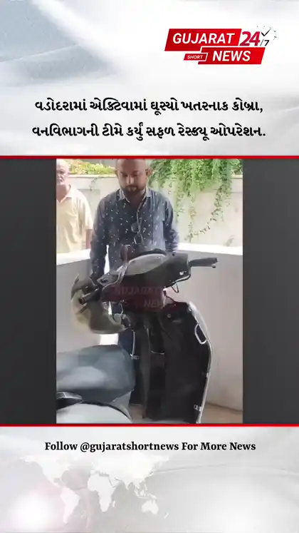 Dangerous Cobra Found Inside Activa in Vadodara Safely Rescued