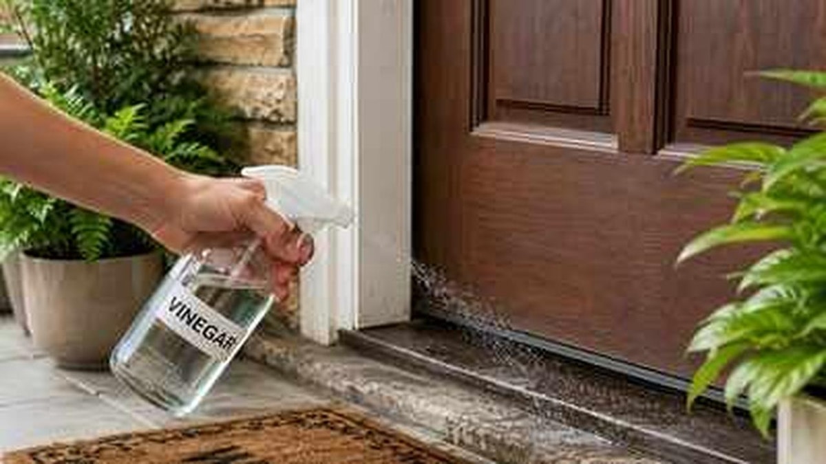 Using Vinegar at Home Entrances: For Cleanliness and Pest Control Using Vinegar at Home Entrances: For Cleanliness and Pest Control