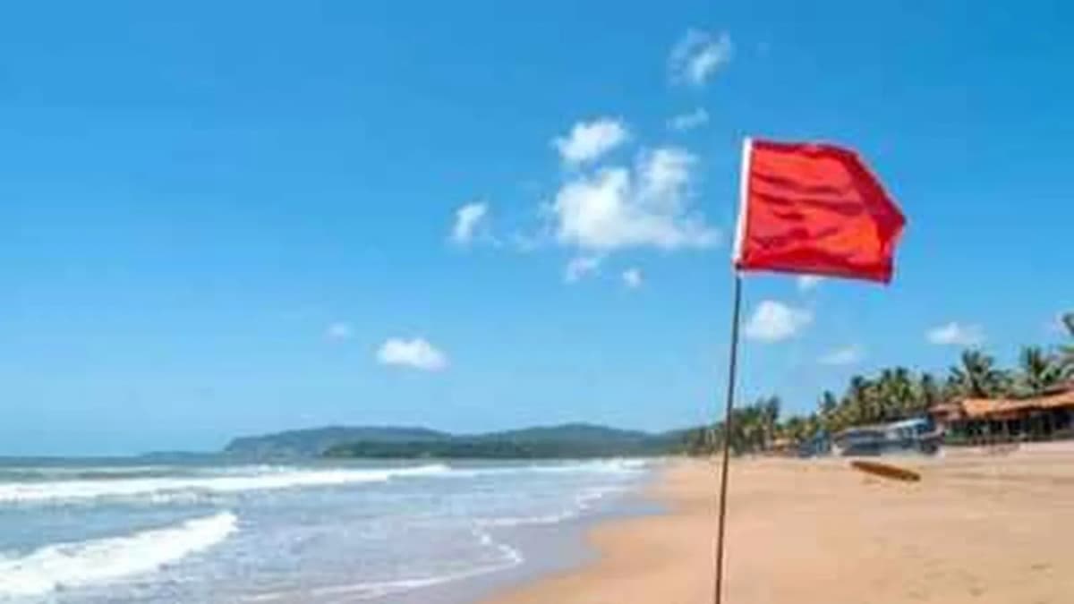 Removing Sand from Beaches: Legal and Environmental Impact Removing Sand from Beaches: Legal and Environmental Impact