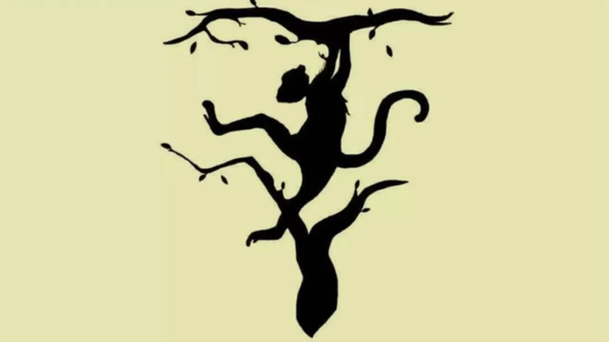 Optical Illusion Personality Test: A Fun Tool to Understand Your Traits Optical Illusion Personality Test: A Fun Tool to Understand Your Traits