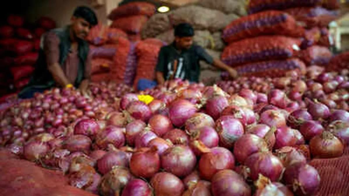 Government Efforts to Control Rising Onion Prices Government Efforts to Control Rising Onion Prices