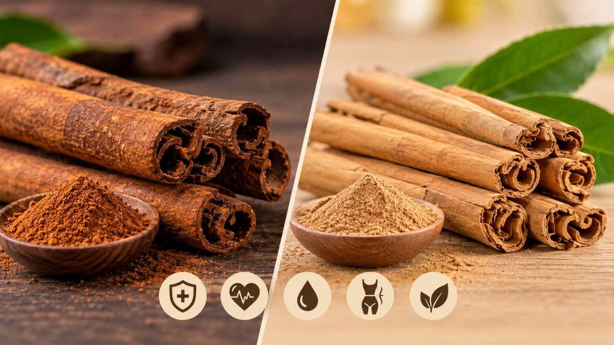 What Is the Difference Between Ceylon and Cassia Cinnamon, and Which Is Safer for Health? What Is the Difference Between Ceylon and Cassia Cinnamon, and Which Is Safer for Health?