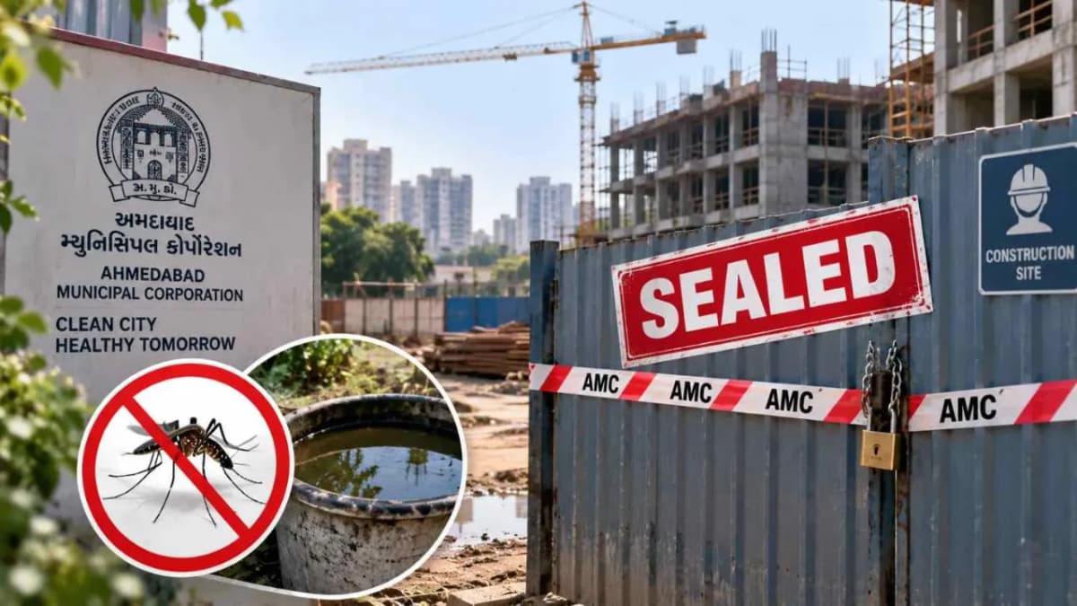 AMC Action Against Mosquito Breeding, 9 Ahmedabad Sites Sealed