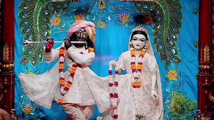 Divine Darshan at Hare Krishna Temple Brings Spiritual Peace Divine Darshan at Hare Krishna Temple Brings Spiritual Peace