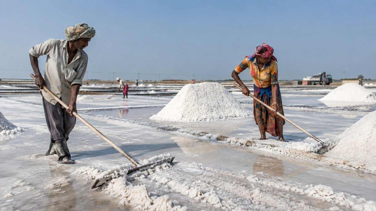Demand for National Institute for Salt Technology Demand for National Institute for Salt Technology