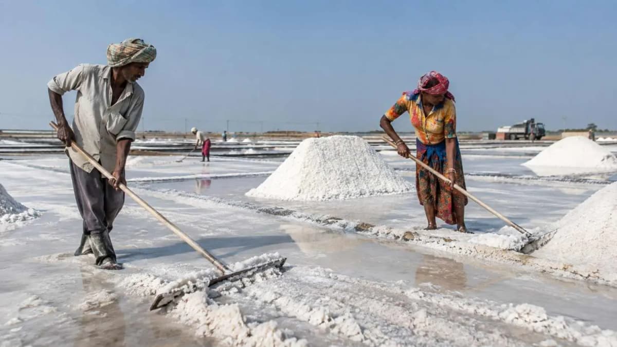 Demand for National Institute for Salt Technology Demand for National Institute for Salt Technology