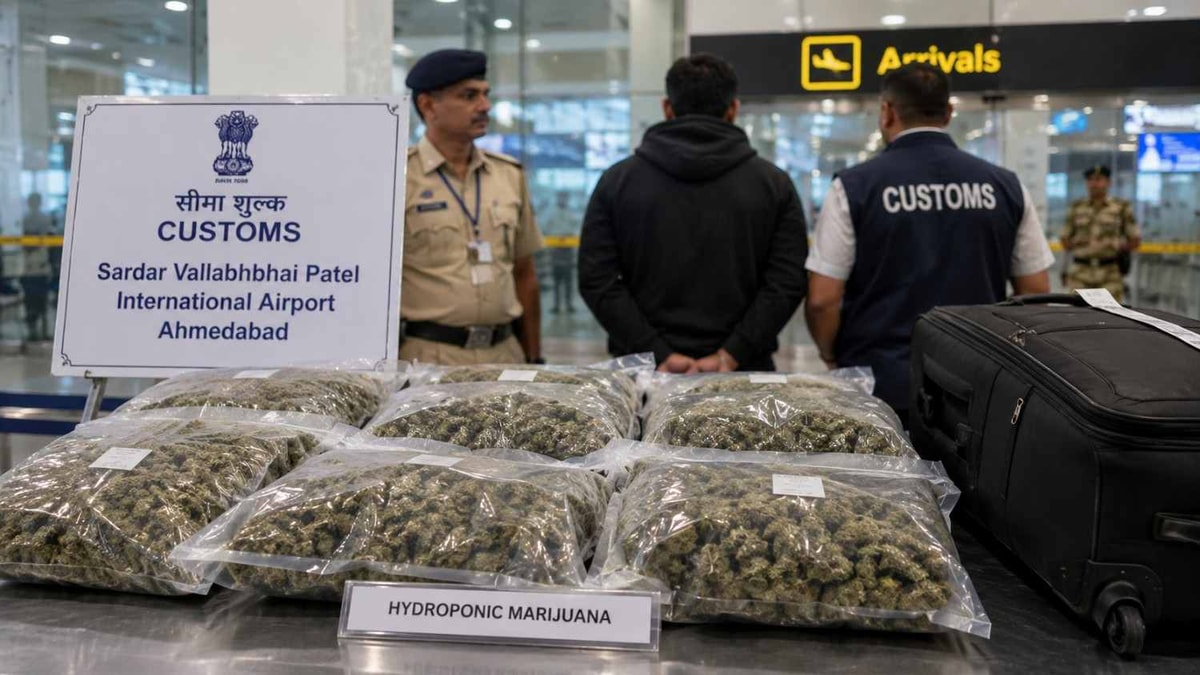 8.9 Kg Hydroponic Marijuana Seized at Ahmedabad Airport 8.9 Kg Hydroponic Marijuana Seized at Ahmedabad Airport