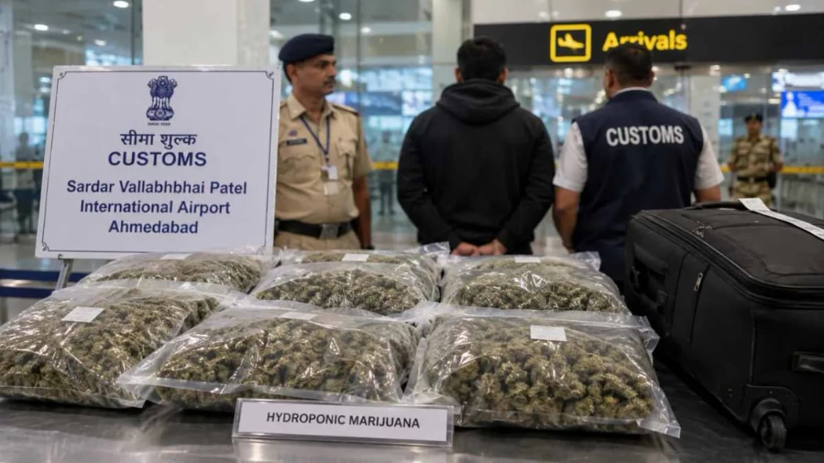 8.9 Kg Hydroponic Marijuana Seized at Ahmedabad Airport